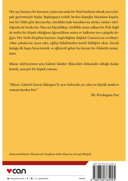 Csutora - Sándor Márai modelleri