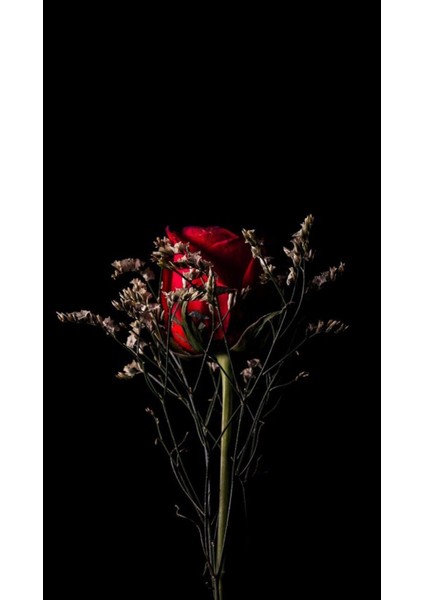 Gül Çiçek Ev Dekarasyon Duvar Süsü Kanvas Tablo Canvas ( Ölçü Seçmeyi Unutmayınız :) fiyatları