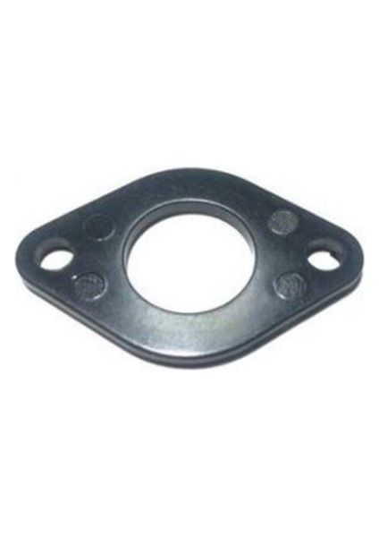 Cub 100 Manifold Fiberi