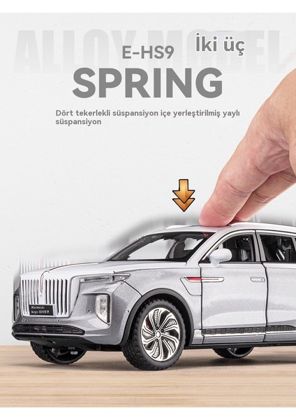 1 Ila 24 Kırmızı Bayrak E-Hs9 Alaşım Araba Modeli (Yurt Dışından) modelleri