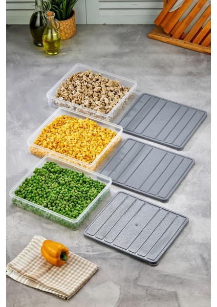 3'lü Kendinden Kapaklı Çok Amaçlı Derin Dondurucu Saklama Kabı Seti