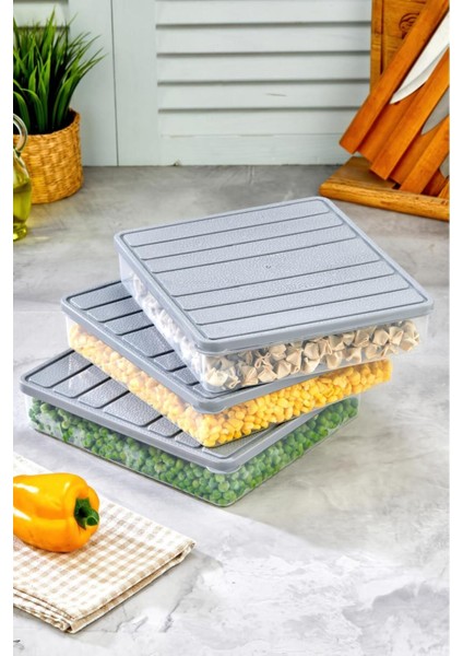 3'lü Kendinden Kapaklı Çok Amaçlı Derin Dondurucu Saklama Kabı Seti fiyatları