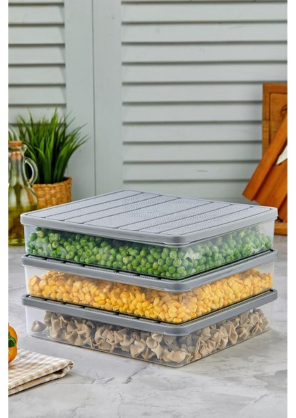 3'lü Kendinden Kapaklı Çok Amaçlı Derin Dondurucu Saklama Kabı Seti modelleri