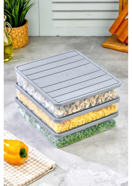 3'lü Kendinden Kapaklı Çok Amaçlı Derin Dondurucu Saklama Kabı Seti indirimleri