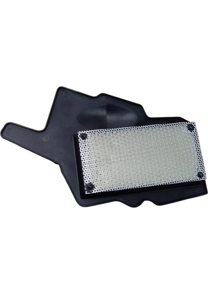 Raider 125 Hava Filtre