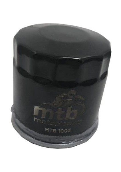 R25 / R6 / R7 Yağ Filtresi 1WD E3440 10