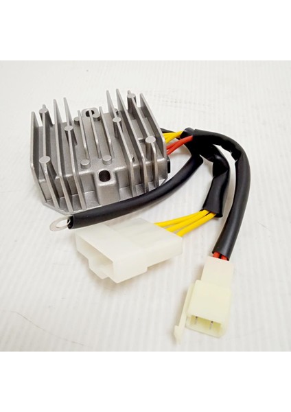 Ns 200 / Rs 200 Konjektör