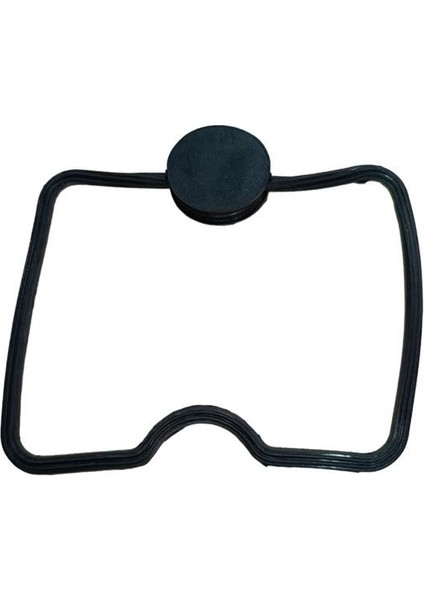 Ns 200 / Rs 200 Külbütör Oringi