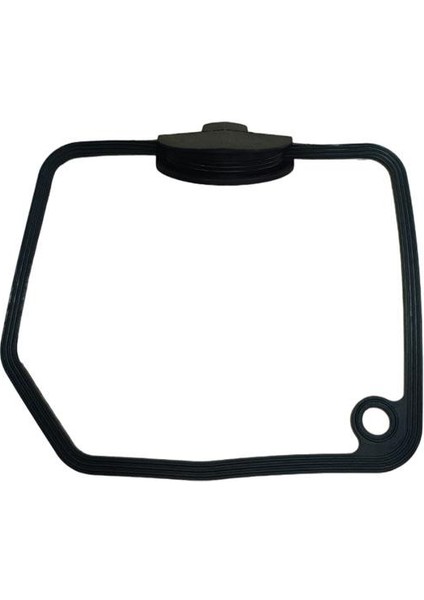 Dıo / Activa 125İ Külbütör Oringi