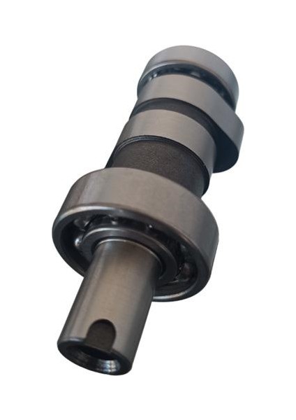 Ns 200 Rs 200 Euro 3 Oem Eksantrik Mili