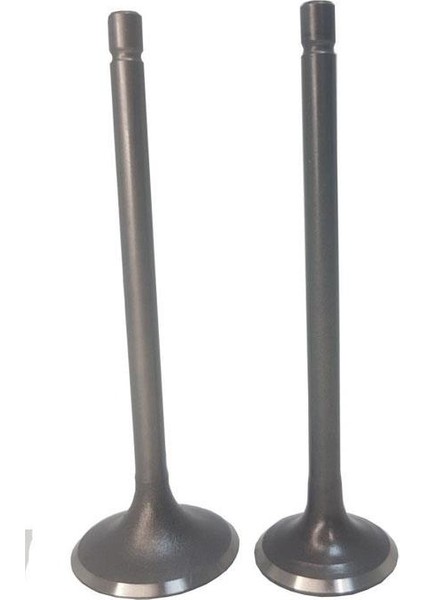 Cub 100 110CC Subap Takımı Vtc