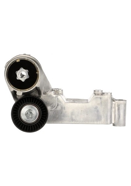 Alternatör Gergi Rulmanı Kütüklü Focus 1 Tourneo / Transit Connect 1,8 Tdci 1069359