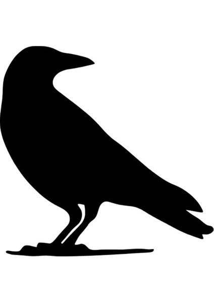 Karga Oto Özel Yeni Sticker Siyah 25 x 25 cm