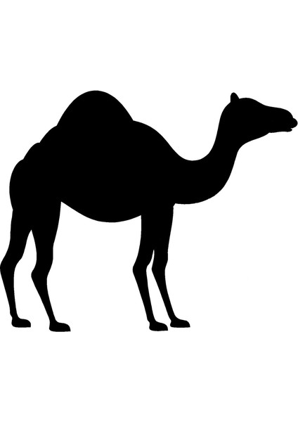 Deve Oto Özel Yeni Sticker 25 x 20 cm