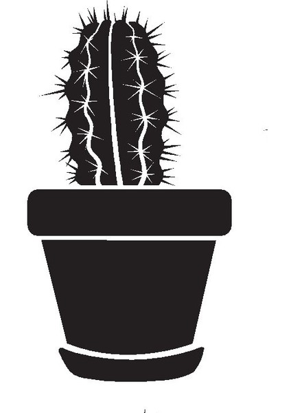 Saksı Çiçeği Kaktüs Model 5 Oto Özel Yeni Sticker 20 x 34 cm