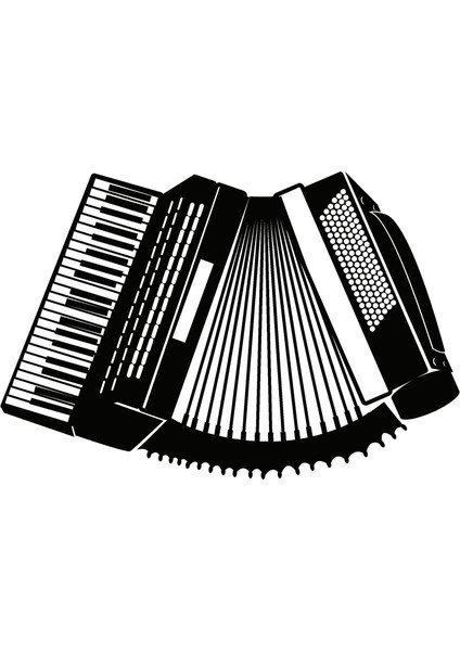 Akardion Oto Özel Yeni Sticker 30 x 21 cm