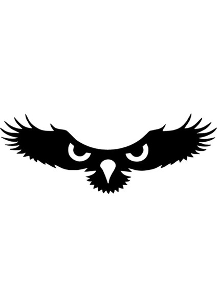 Kartalın Gözleri Oto Özel Yeni Sticker Siyah 25 x 10 cm