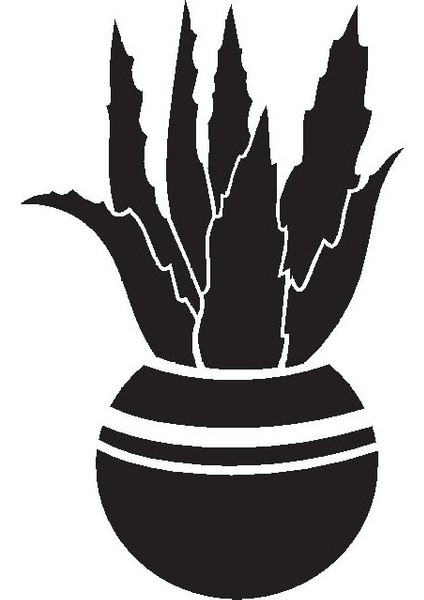 Saksı Çiçeği Kaktüs Model 3 Oto Özel Yeni Sticker 20 x 32 cm