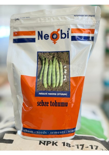 Oturak Fasulye Tohumu Maxima 1 kg