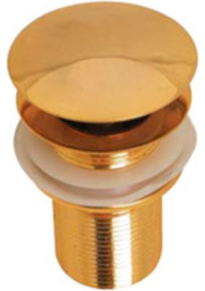 Altın Lavabo Sifonu Pop-Up fiyatları