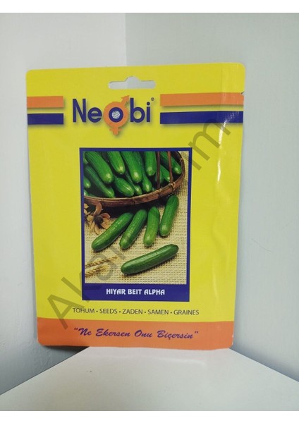 Hıyar Beith Alpha Tohumu