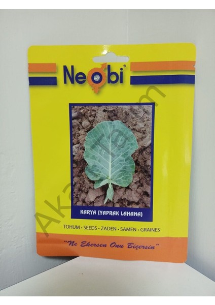Karya Yaprak Lahana Tohumu
