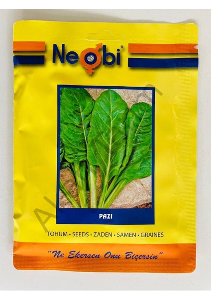 Pazı Tohumu 10 Gram
