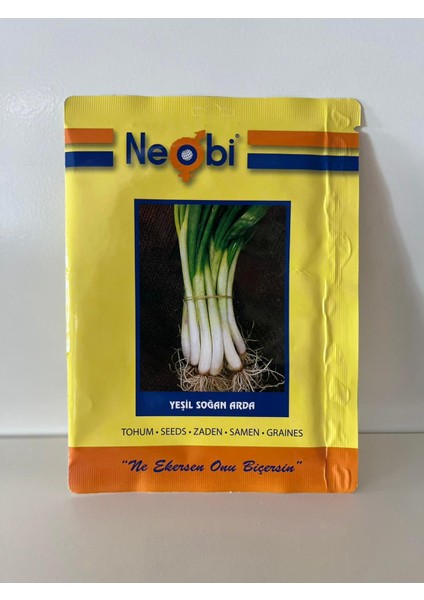 Yeşil Soğan Arda Tohumu 10 Gram