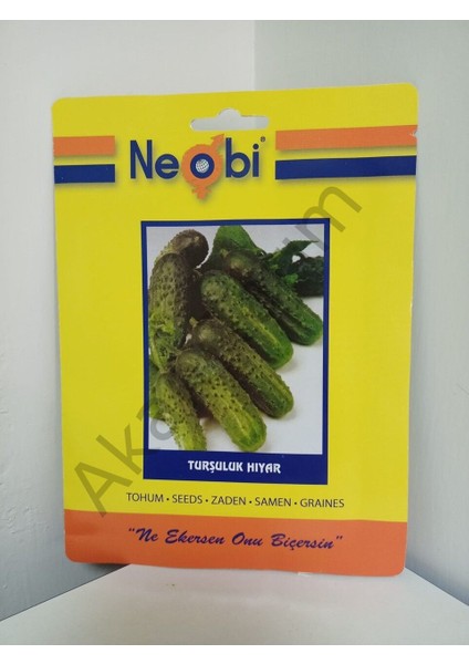 Turşuluk Hıyar Tohumu