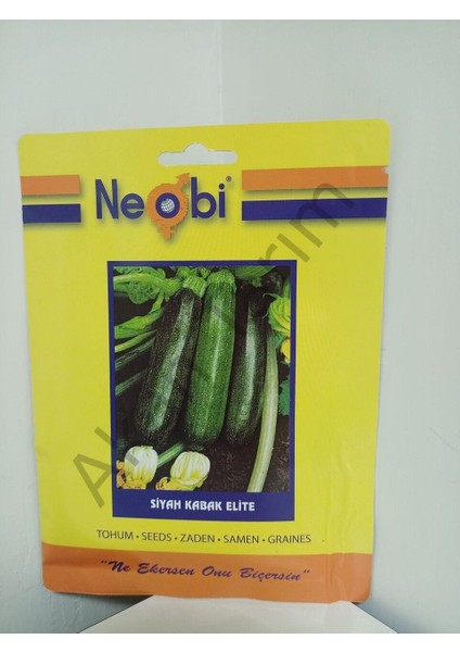 Siyah Kabak Elite Tohumu