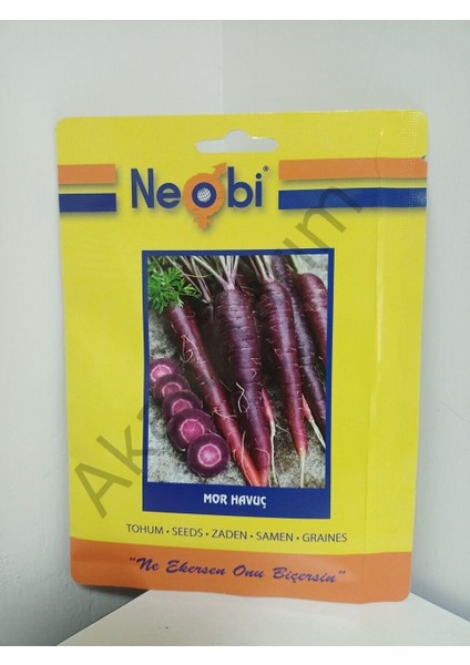 Mor Havuç Tohumu