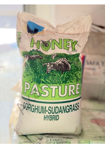 Pasture Hibrit Ithal Sorghum Sudan Tohumu 25 kg