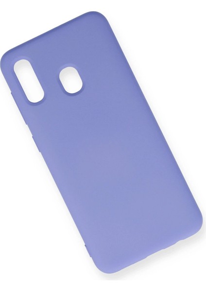 Samsung Galaxy A20 Kılıf Nano Içi Kadife Silikon - Lila - LORCE6749-4463 fiyatları
