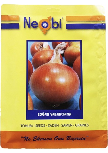 Soğan Valanciana Tohumu