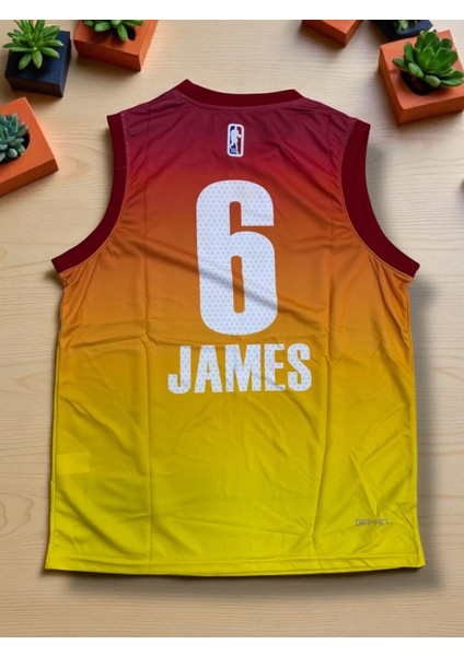 NBA All Star Jordan Basketbol Forması