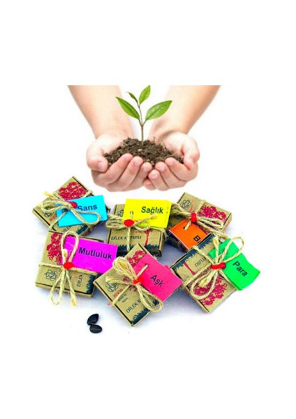 Dilek Tohumları - Aşk fiyatları