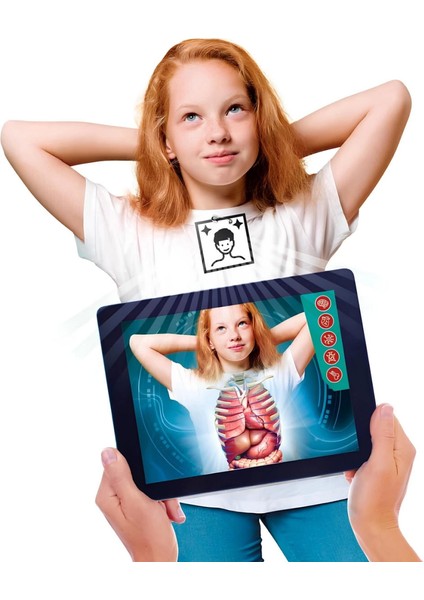 Bilim ve Oyun Süper Anatomi modelleri