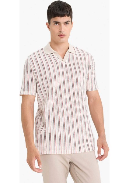 Regular Fit Polo Yaka Çizgili Kısa Kollu Tişört F1858AX25AU modelleri