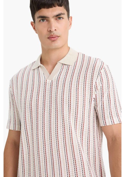 Regular Fit Polo Yaka Çizgili Kısa Kollu Tişört F1858AX25AU fırsatları