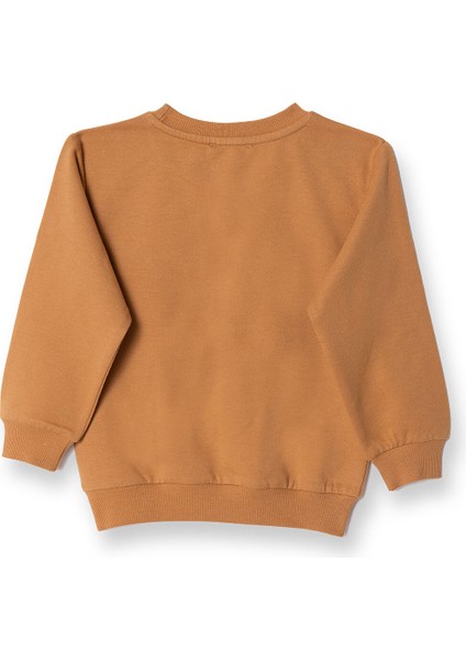 Ayıcık Baskılı Sweatshirt Erkek Bebek fiyatları