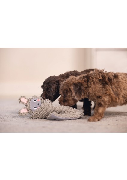 Yavru Köpek Oyuncağı, Peluş, Gri, 37X28X4CM Arbkd indirimleri
