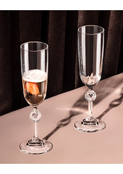 Lavinia 4'lü Şampanya Kadehi Seti - 150 ml fırsatları
