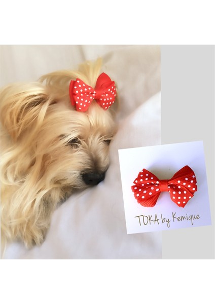 Köpek Tokası Dınner Serisi Kırmızı