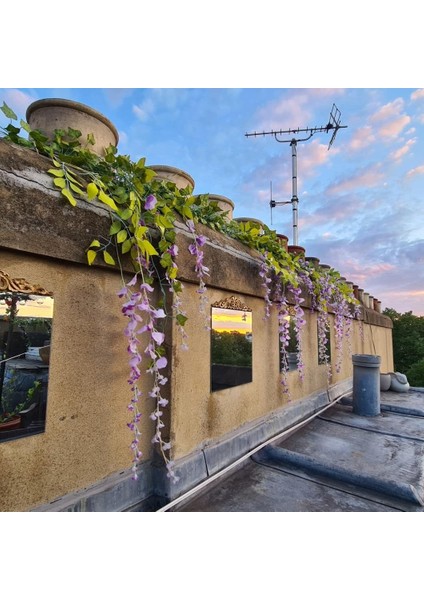 Adet Ahşap Oyma Çıkartması Ahşap Oyma Mobilya Aplikler Köşe Onlay Aplike Mobilya Ev Kapı Dekor Dıy (Yurt Dışından) fırsatları