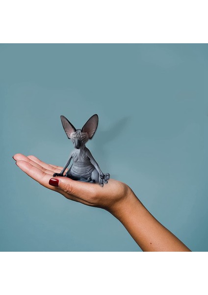 Sphynx Kedi Meditasyon, Düşünen Kedi Heykeli, Meditasyon Düşünen Kedi, Sphynx Tüysüz Kedi Meditasyon Tahsil Dekor (Yurt Dışından) fırsatları