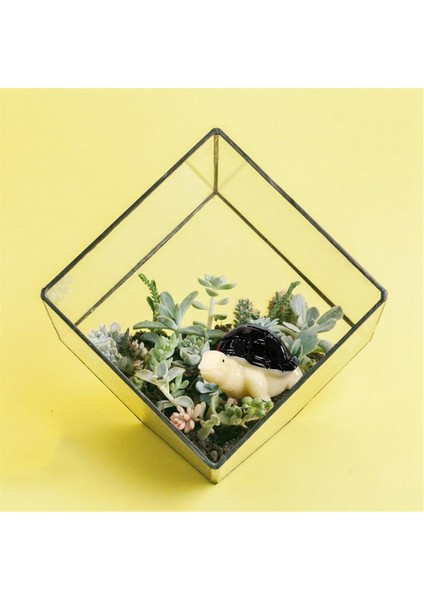 50 Adet Mini Orman Hayvanları Figürleri Reçine Küçük Hayvan Minyatürleri Vahşi Hayvan Minyatür Bahçe Aksesuarları, C (Yurt Dışından) indirimleri