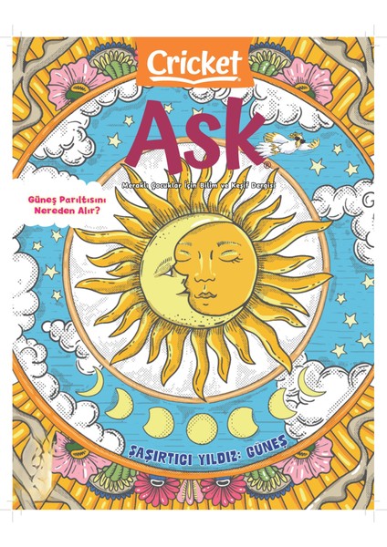 Crıcket Ask Sayı 3