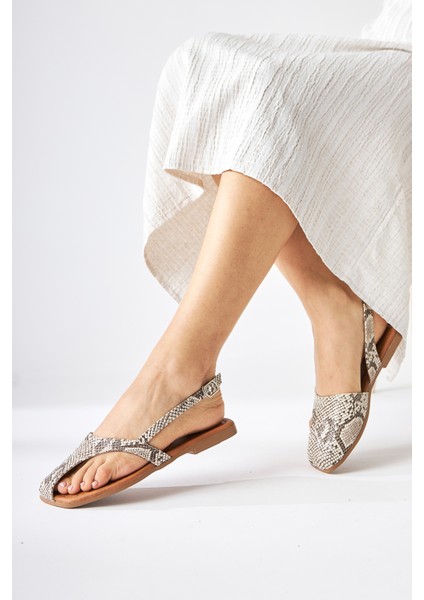 Agnez Yılan Desenli Kemer Detaylı Kadın Sandalet indirimleri