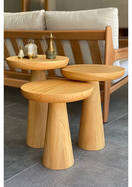 Mantar Sehpa Natural