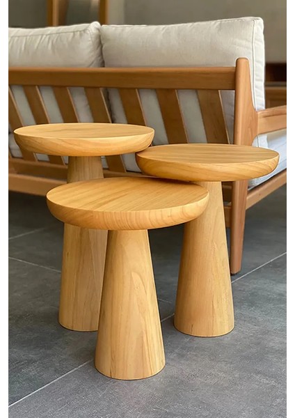 Mantar Sehpa Natural fiyatları